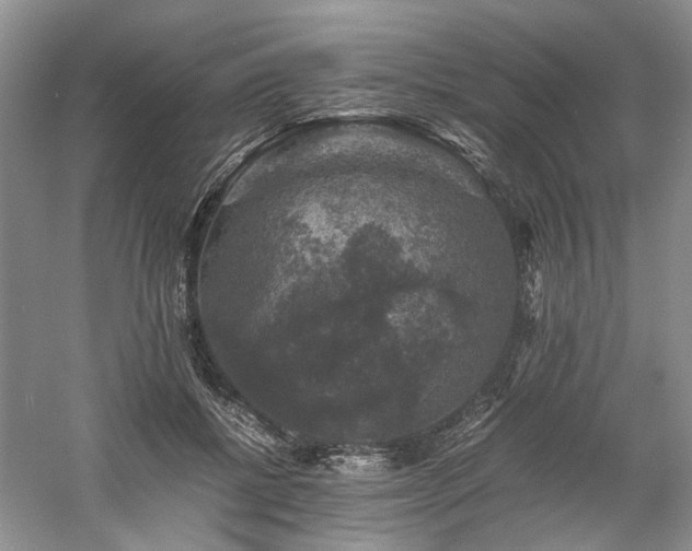 X0000061140552200511181211