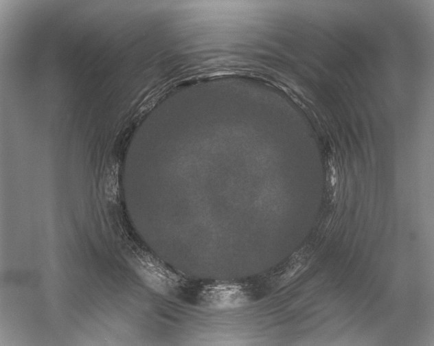 X0000061140554200511181211