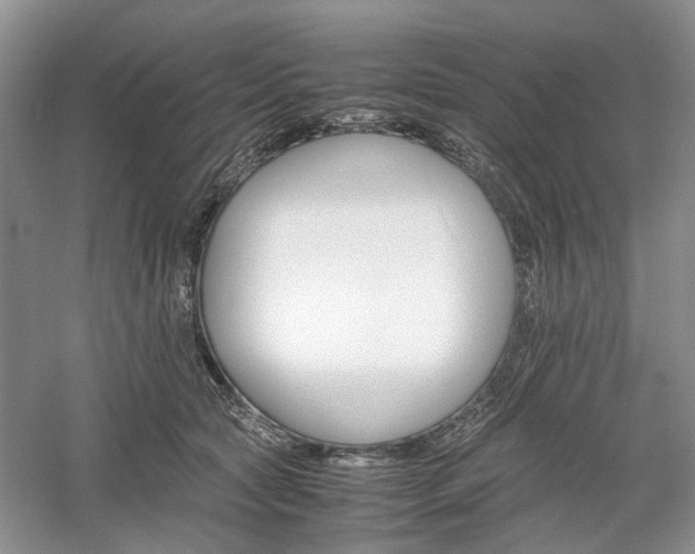 X0000061140561200511181211