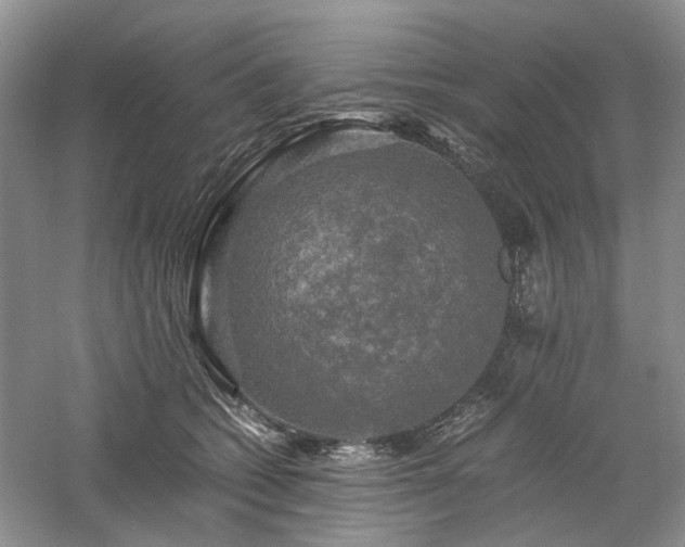 X0000061140562200511181211