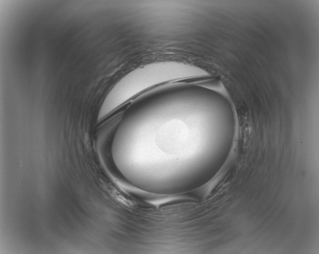 X0000061140566200511181211