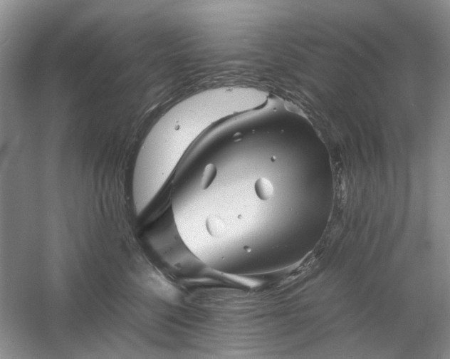 X0000061140568200511181211