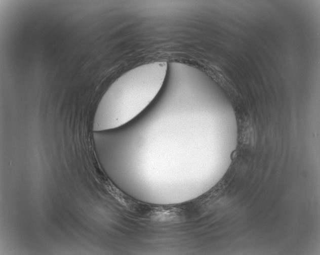 X0000061140569200511181211