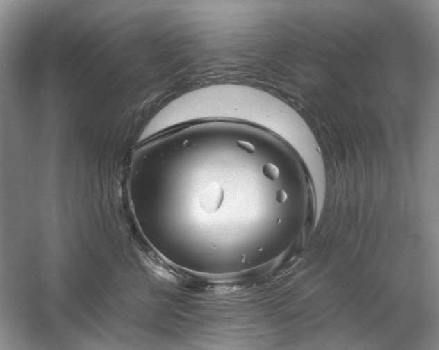 X0000061140570200511181211