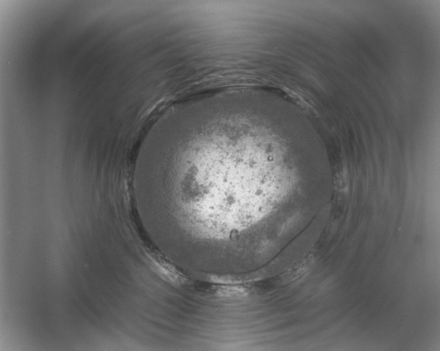 X0000061140572200511181211