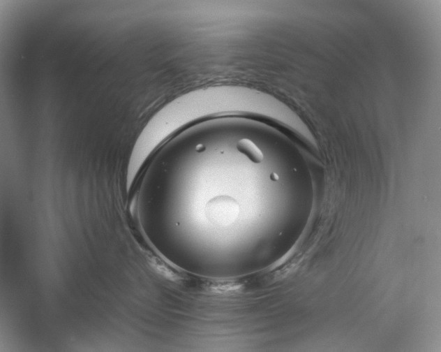 X0000061140576200511181211