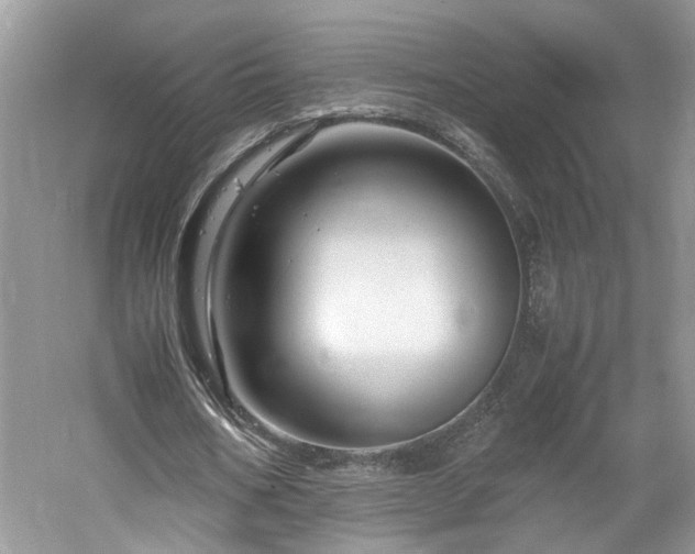 X0000061140578200511181210