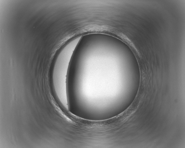 X0000061140581200511181210