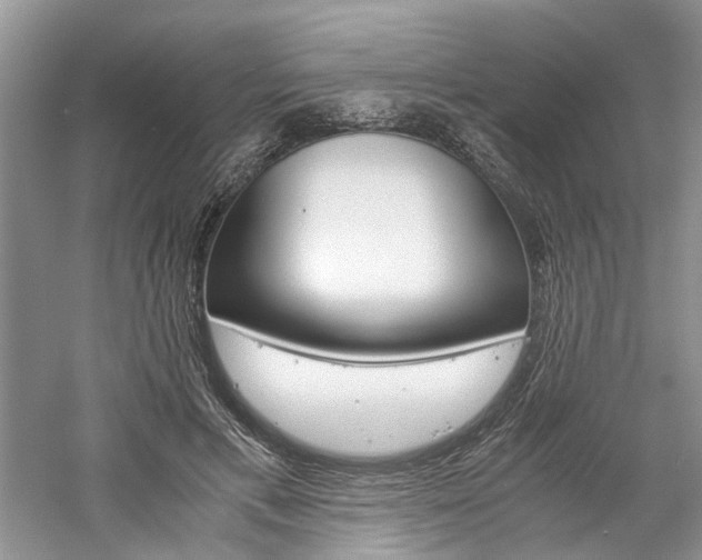 X0000061140597200511181210