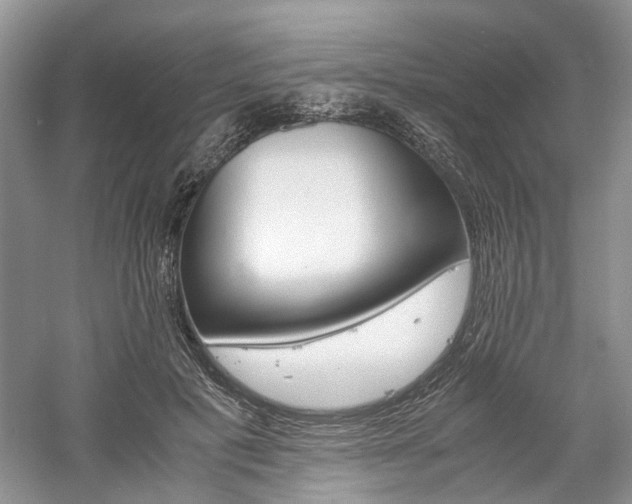 X0000061140601200511181210