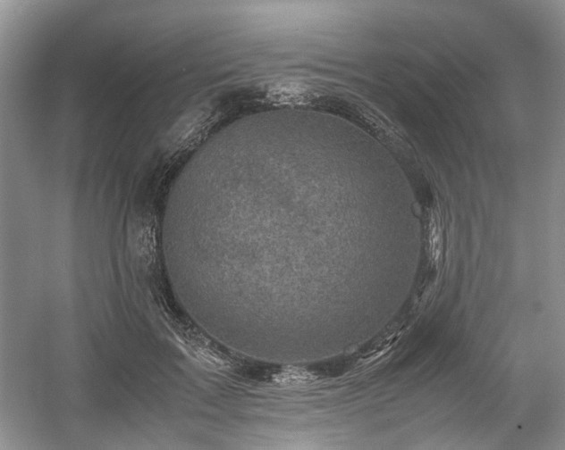 X0000061140603200511181210