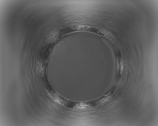 X0000061140607200511181210