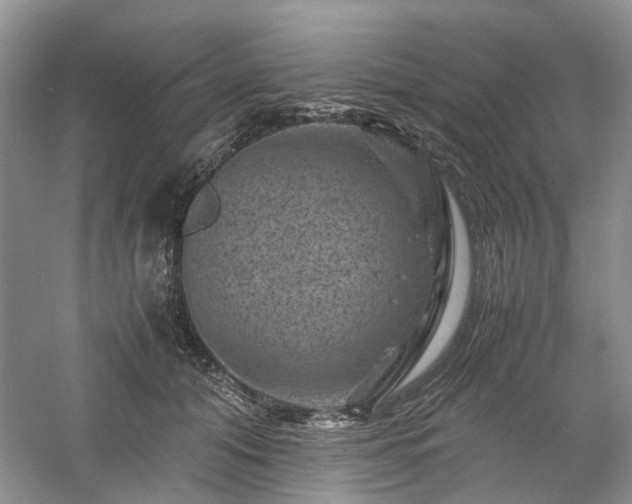 X0000061140608200511181210