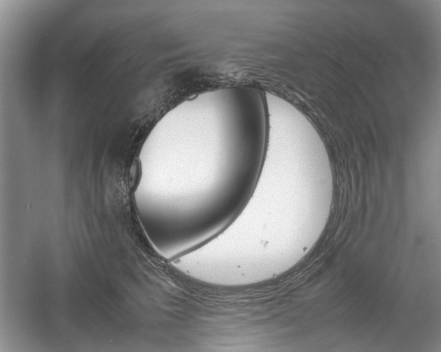 X0000061140613200511181210
