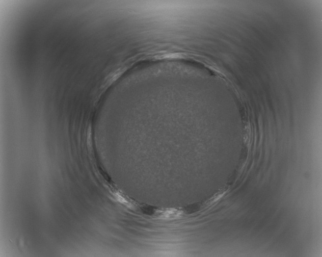 X0000061140621200511181209