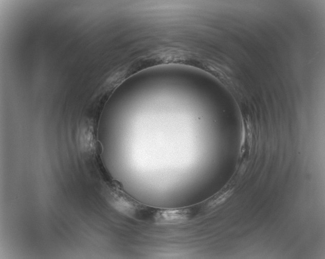 X0000061140622200511181209