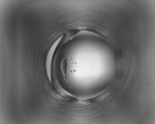 X0000061140623200511181209