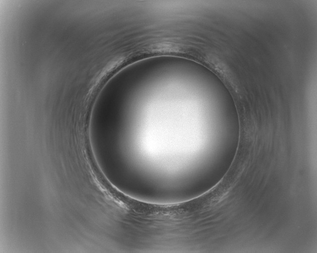 X0000061140625200511181209