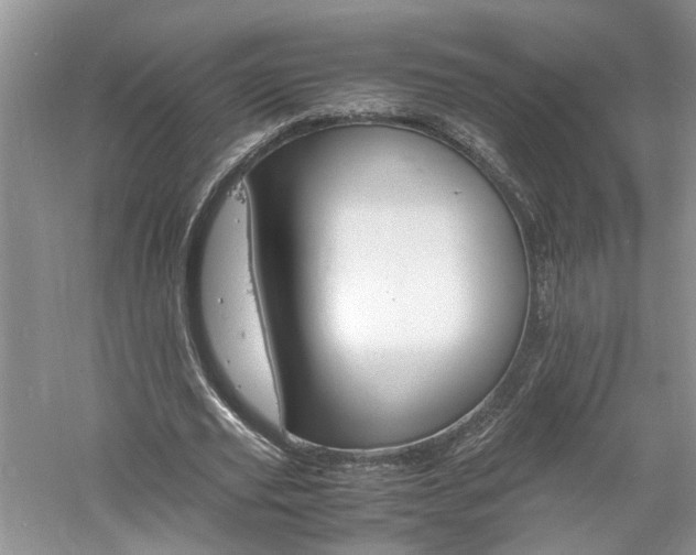 X0000061140629200511181209
