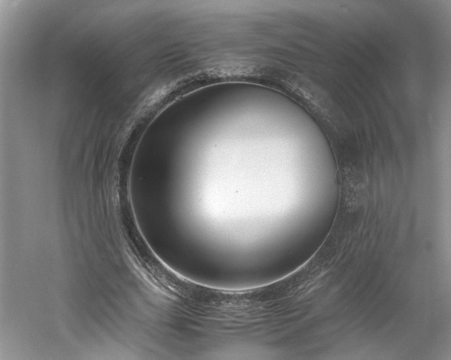X0000061140631200511181209