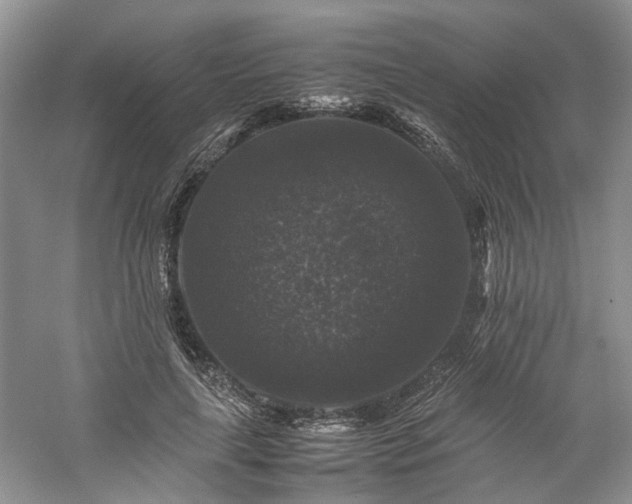 X0000061140643200511181209