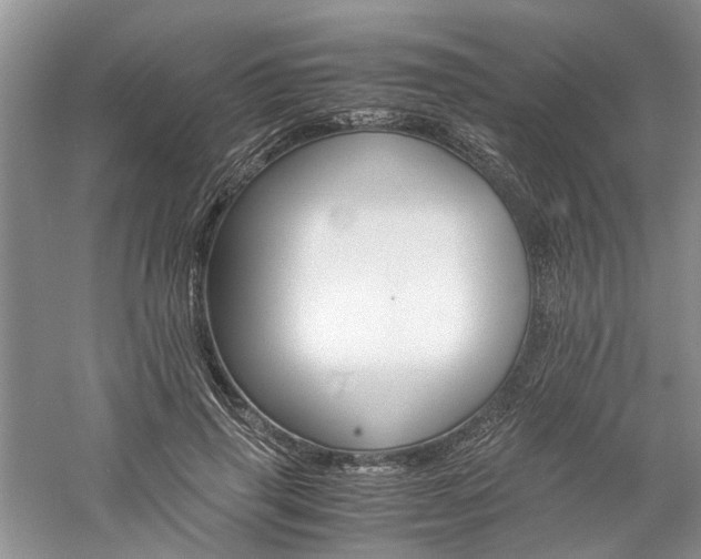 X0000061140645200511181209