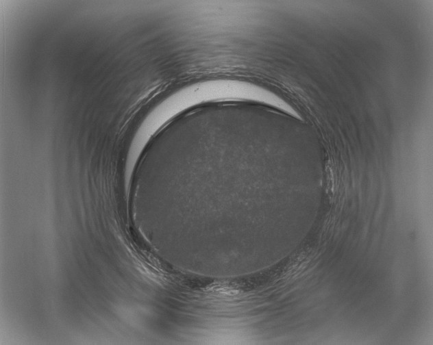 X0000061140648200511181209