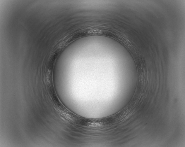 X0000061140649200511181209