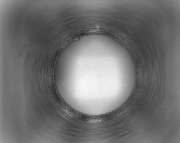 X0000061140653200511181209