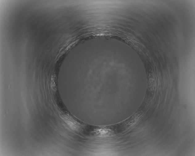 X0000061140654200511181209