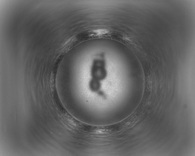 X0000061140657200511181209