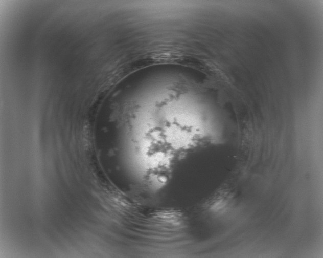 X0000061140659200511181209