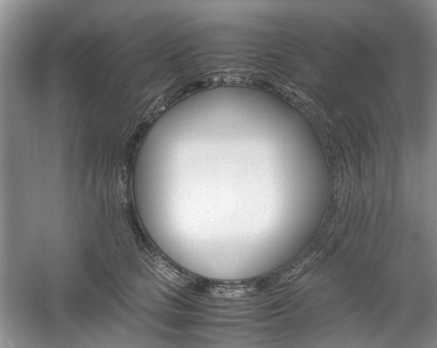 X0000061140661200511181209