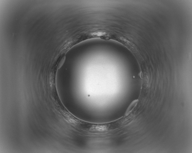 X0000061140665200511181209