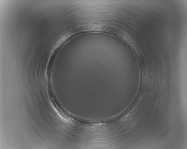 X0000061140674200511181209