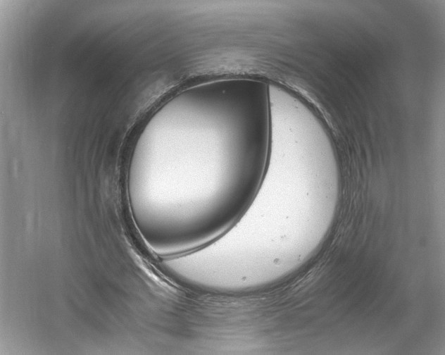 X0000061140677200511181208