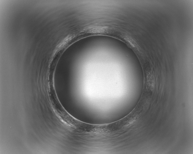 X0000061140682200511181208