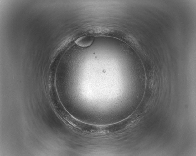 X0000061140683200511181208
