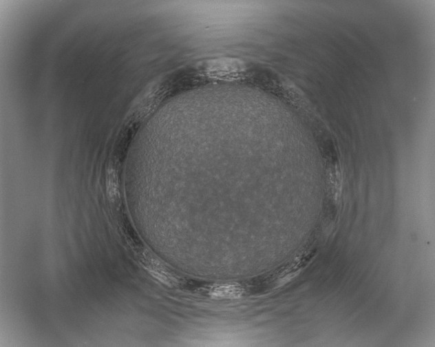 X0000061140705200511181208