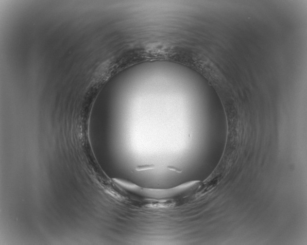 X0000061140706200511181208