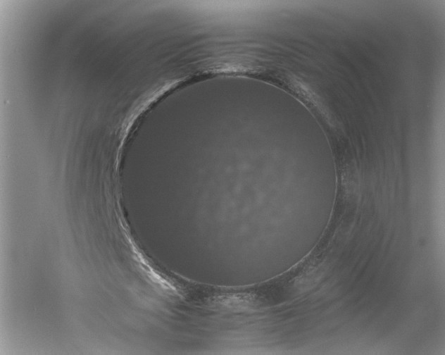X0000061140721200511181207