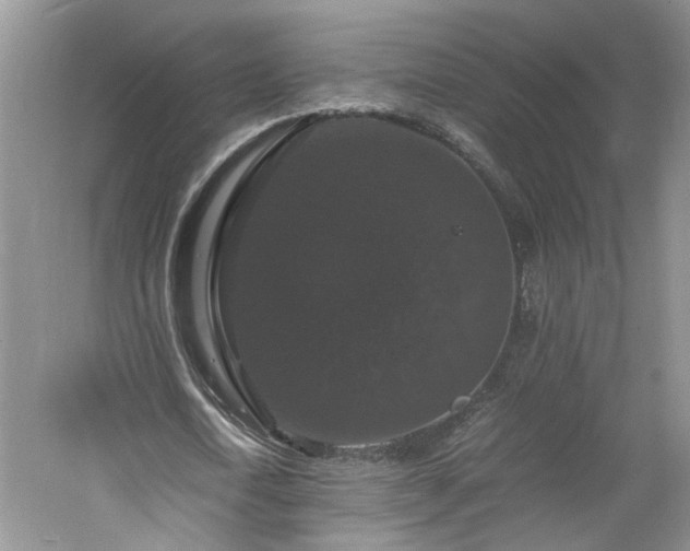 X0000061140722200511181207