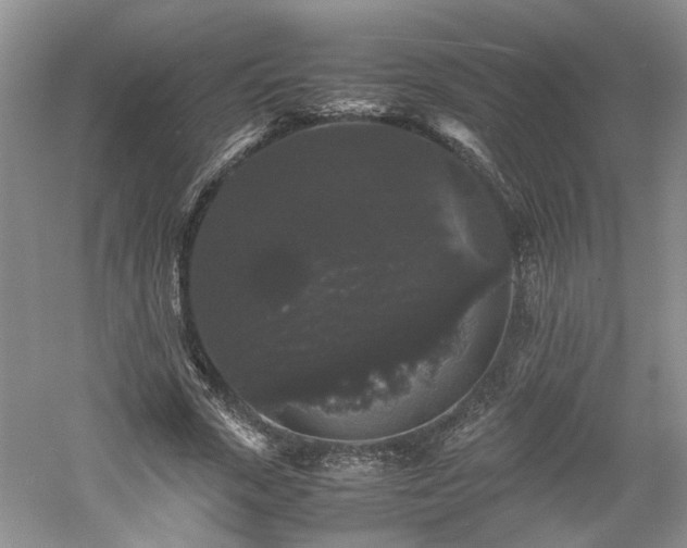 X0000061140729200511181207