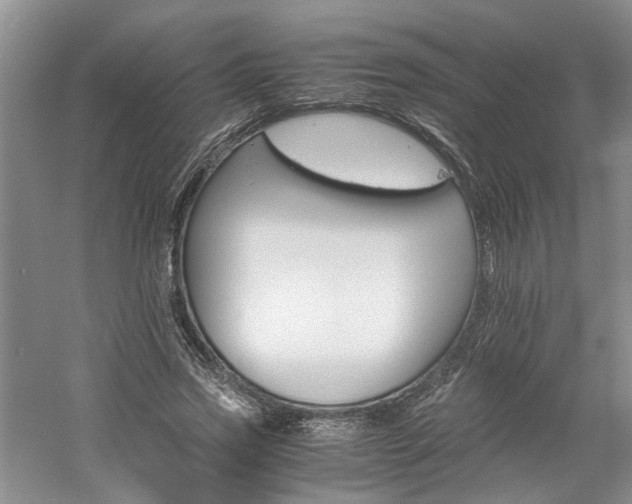 X0000061140733200511181207