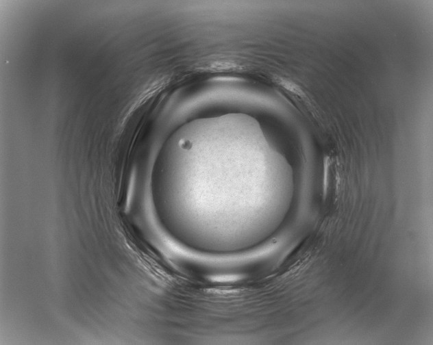 X0000061140735200511181207