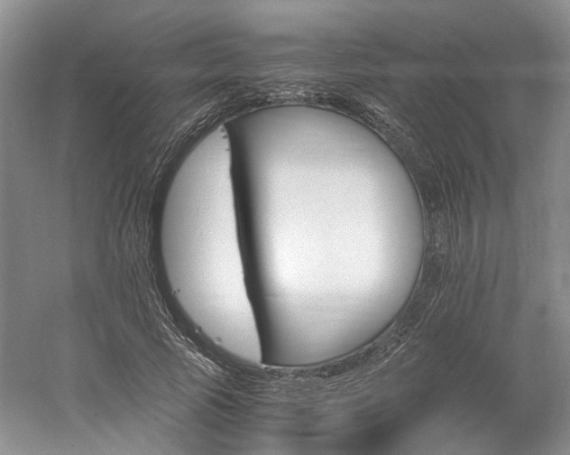 X0000061140737200511181207