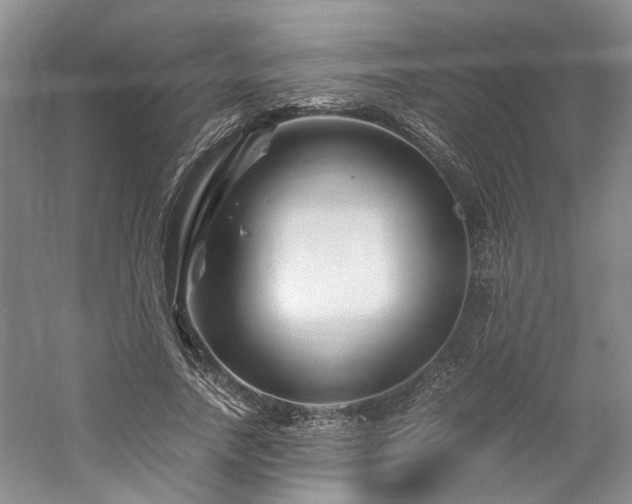 X0000061140738200511181207