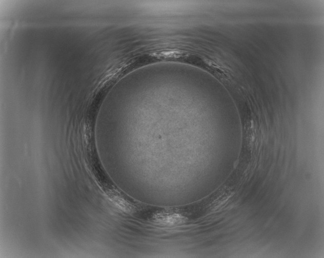 X0000061140747200511181207