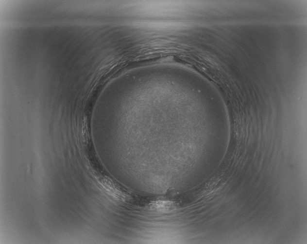 X0000061140748200511181207