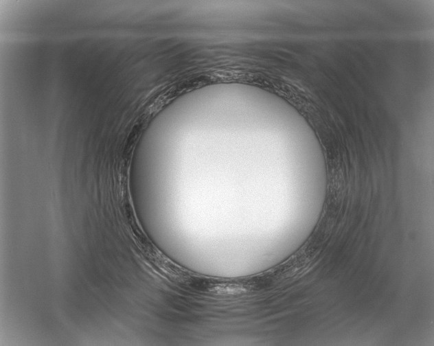 X0000061140749200511181207
